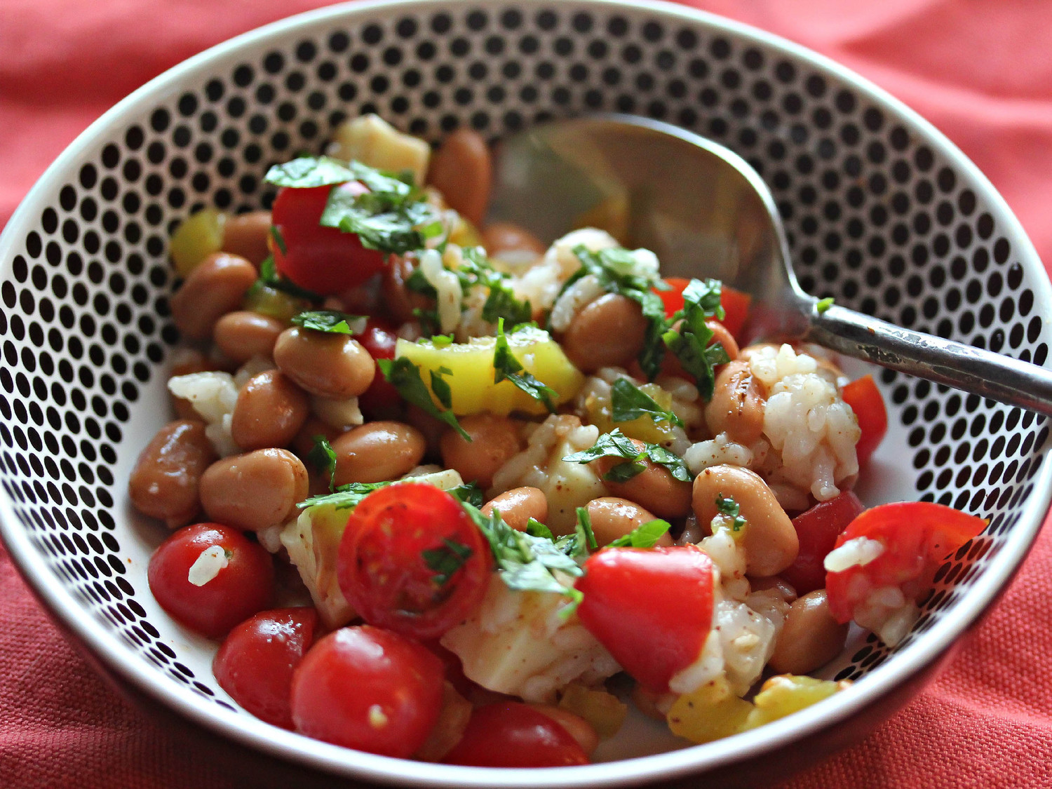 Pinto Bean Salsa Salad Recipe